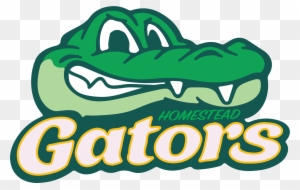 Hms Gator Logo - Gators Basketball Christchurch