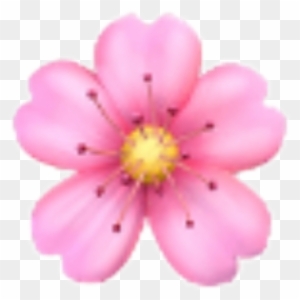 Flower Sakura Emoji Emojis Rose Sticker Ios Iphone - Cherry Blossom Emoji Png