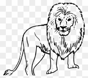 White Lion Clipart Drawn Easy Drawings Of Wild Animals Free Transparent Png Clipart Images Download White Lion Clipart Drawn Easy Drawings Of Wild Animals Free Transparent Png Clipart Images Download