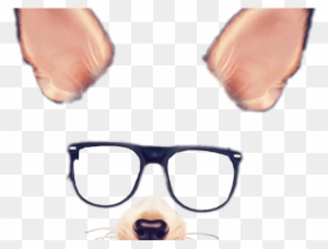 Snapchat Clipart Dog Ear - Snapchat Filters Png Transparent - Free ...