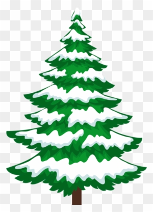 Sosna Z Przezroczystym Klipsem Śniegu Christmas Graphics, - Clip Art Pine Tree Snow