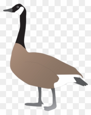 Free Free 317 Snow Goose Svg SVG PNG EPS DXF File