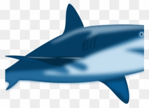 Baby Shark Clipart Transparent Png Clipart Images Free Download Clipartmax Baby Shark Clipart Transparent Png Clipart Images Free Download Clipartmax