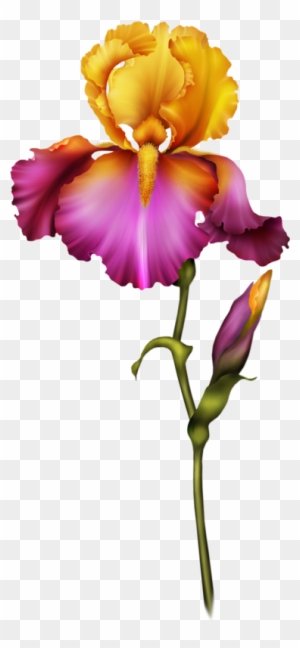 Яндекс - Фотки - R Letter In Flowers