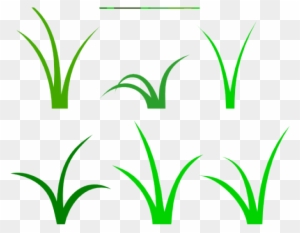 White Flower Clipart Grass - Clip Art Blades Of Grass