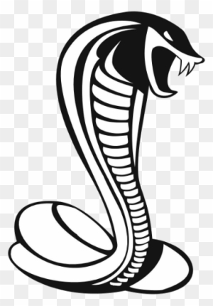 Free Free King Cobra Svg 597 SVG PNG EPS DXF File