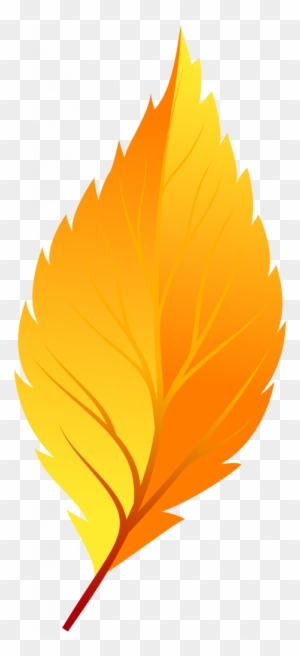 Download Fall Leaves Clip Art - Autumn Leaf No Background