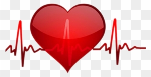 Chart Heart Rate Electrocardiography Red Vector Graphics Free Transparent Png Clipart Images Download