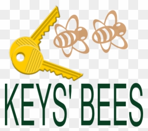 Keys Bees Clip Art Vector Online Royalty Free & Public - Smart Blonde California License Plate Lp-4513