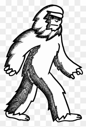 Bigfoot Research Club Looking For Clues - Big Foot Drawing Bigfoot Research Club Looking For Clues - Big Foot Drawing