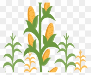 Corn Stalk Clipart - Corn Stalk Corn Clipart