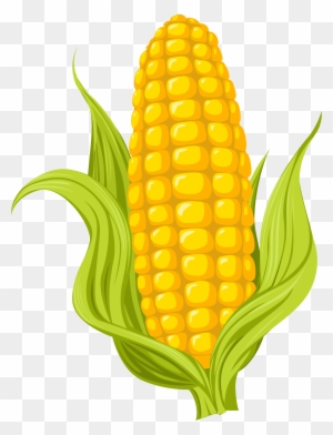 Maize Drawing Photography Illustration - Sweet Corn Pictures Cartoon