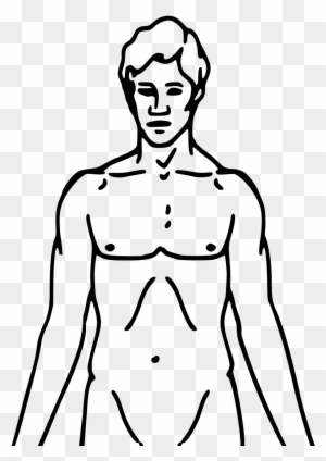 Filepioneer Plaque Man Upper Body As Diagram Template - Side Effects Of Tobacco