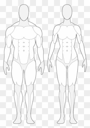 Muscle Clip Art Transparent Png Clipart Images Free Download Clipartmax - roblox muscles body