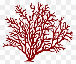 #coral #reef #fish #sea #red #freetoedit - Sea Fan Coral Png