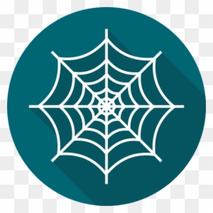 Spider - Spider Web Icon