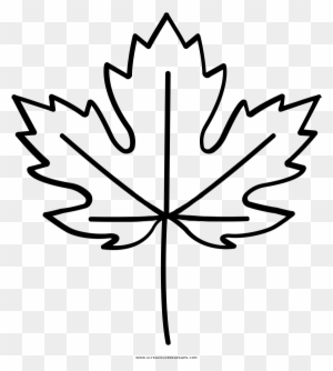 Maple Leaf Coloring Page With Ultra Pages - Line Art