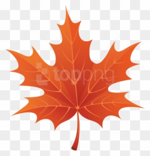 Free Png Download Autumn Leaves Clipart Png Photo Png - Autumn Leaf Png Clipart