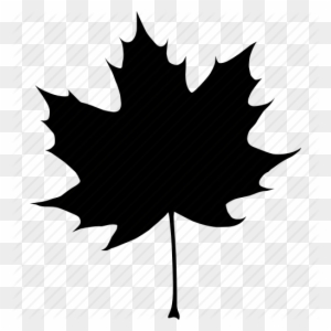 Fall Leaf Icon Clipart Computer Icons Autumn Leaf Color - Maple Leaf