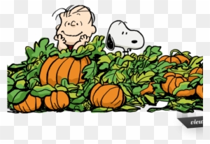Peanut Clipart Autumn - Great Pumpkin Charlie Brown Clipart