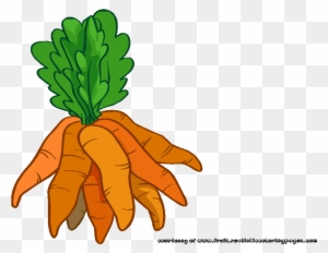 20 Incredible Carrot Vegetables Clipart - Clipart Carrot