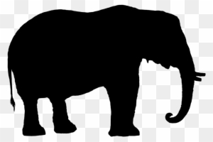 Download Elephant Silhouette Clip Art Transparent Png Clipart Images Free Download Clipartmax