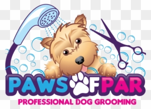 klise dog grooming