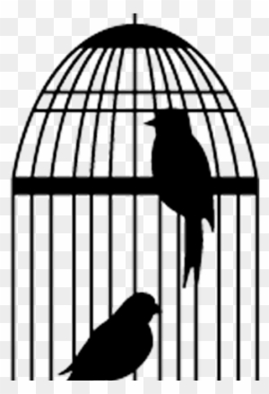 14+ Animasi burung hantu bergerak terbaru