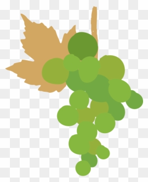 Condition For Grapes To Stay Longer In The Vine And - Clip Art Grape Leaves