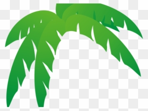 Palm Tree Clipart Leaves - Palm Frond Palm Tree Leaf