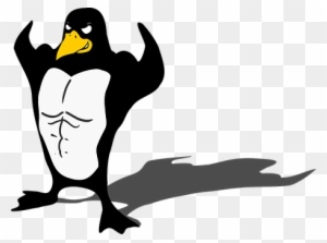 Manchot, Oiseau, La Faune, Tuxedo - Muscle Penguin