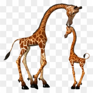 Download Giraffe Clipart Tall Giraffe Mother And Baby Giraffe Clipart Png Free Transparent Png Clipart Images Download