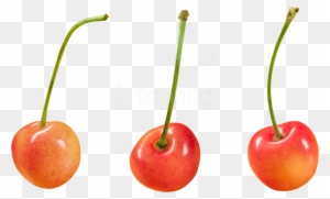 Free Png Download Cherry Clipart Png Photo Png Images - Png Free For Commercial Use