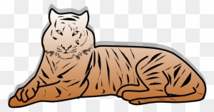 Tiger,animal,willed,big - Outline Picture Of Tiger