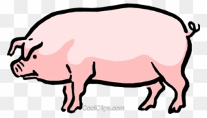 Cartoon Pig Royalty Free Vector Clip Art Illustration - Pig Side View Drawing