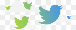 Twitter To Show Tweets You Missed 'while You Were Away' - Social Media Icons Twitter
