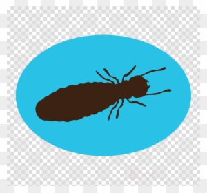 Termite Scout Clipart Fly Termite Pest - Clipart Pig Noses