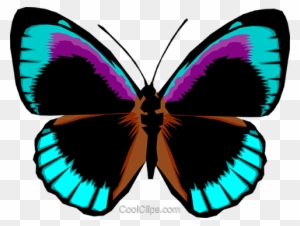 Butterfly Royalty Free Vector Clip Art Illustration - Bright Colored Butterfly