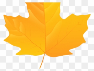 Autumn Leaves Clipart Yellow - Maple Leaf Png Yellow