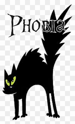 Case And Point - Black Cat