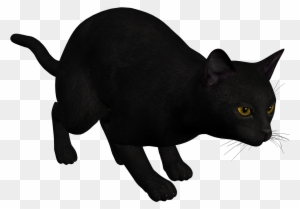 Cat Black Png Clipart - Black Cat