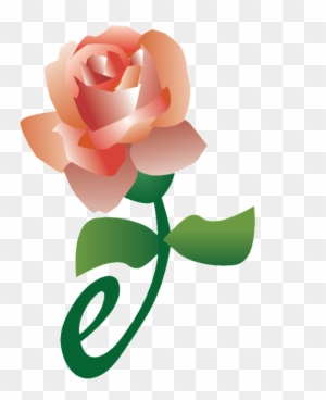 Is Mass Marketing Dead Does One To One Marketing Rule - Garden Roses