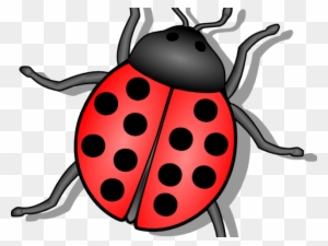 Beetle Clipart Animated - Spring Ladybug Clipart Black And White