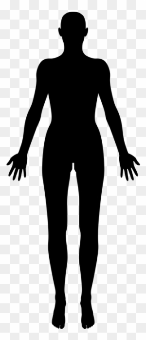 Woman Female Figure Human People Person - Female Human Body Silhouette