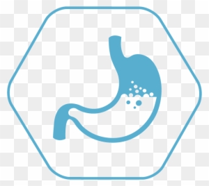 Let S Break It Down Digestion Free Transparent Png Clipart Images Download Let S Break It Down Digestion Free Transparent Png Clipart Images Download