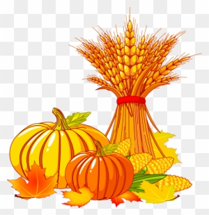 Harvest - Corn Stalks And Pumpkin Clipart