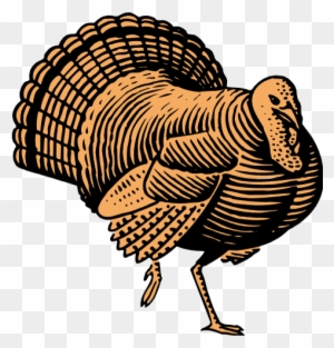 Contact Anne Stricherz For More Information Or See - Turkey