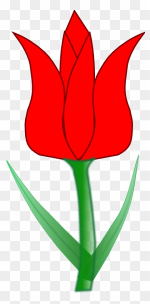  Gambar  Bunga Mawar  Merah Besar Red Rose Hd 3d Free 