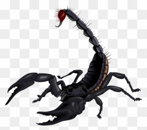 Scorpion Clip Art Hostted Wikiclipart - Most Dangerous Animal In India