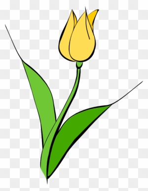 Spring - Clip Art Yellow Tulip